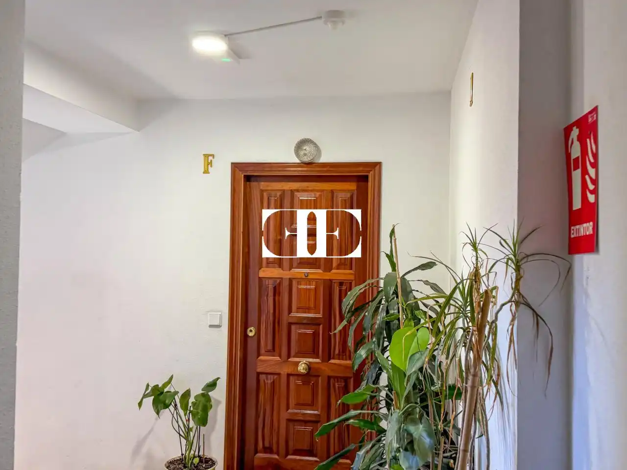 Piso con ascensor en venta en Avenida de Galicia, imagen 22
