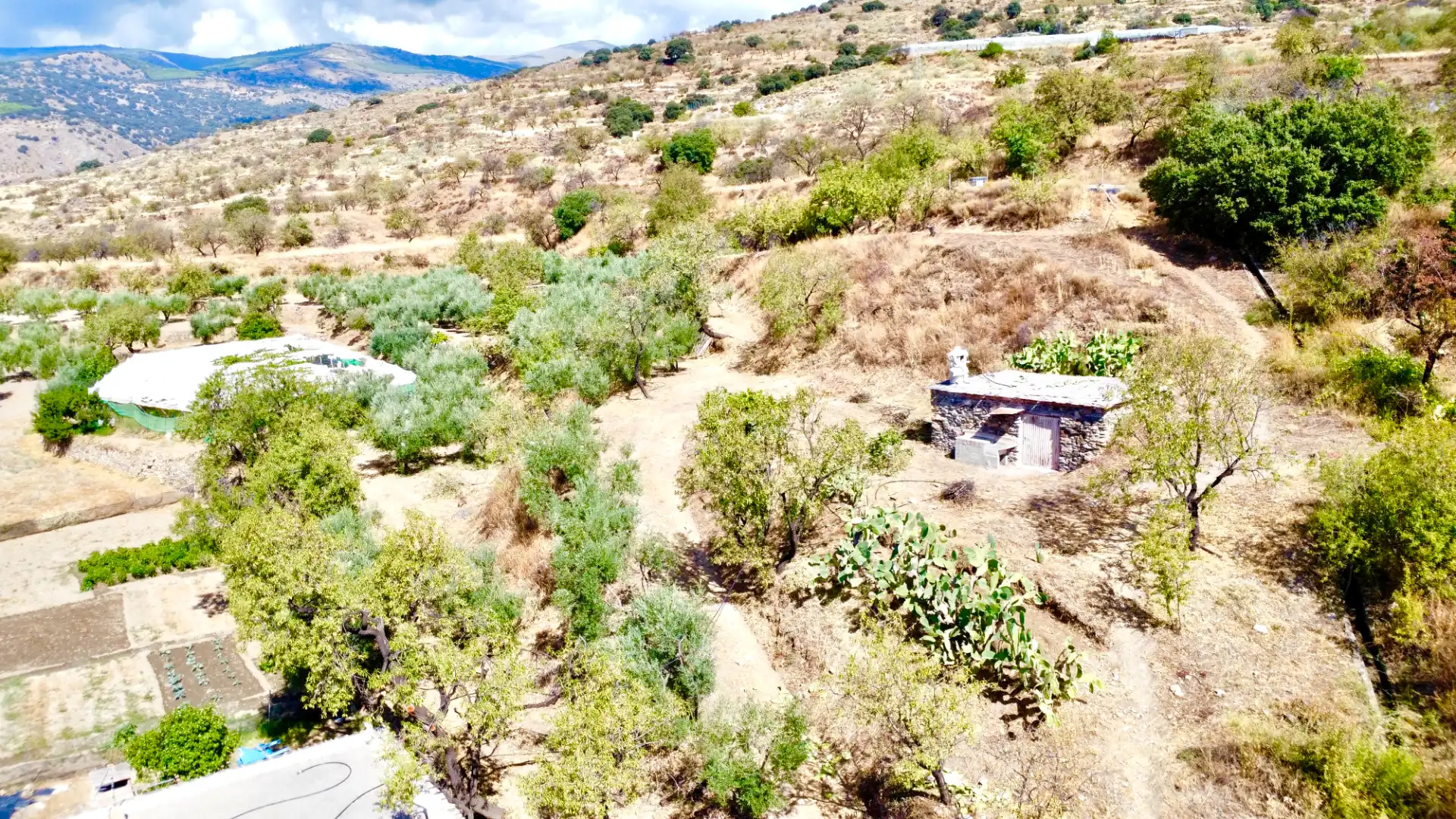 Terreno rustico in vendita a N/A