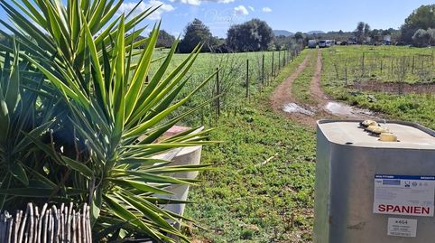 Se vende finca rústica en Santa Eugenia, immagine 4