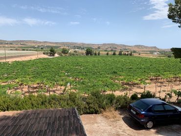 Terreno rustico in vendita a Pedanías Oeste