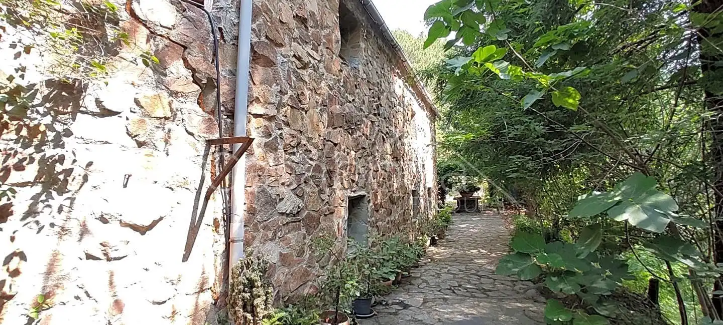 Vista exterior de Finca rústica en venta en Arbúcies con Jardín privado, Terraza y Amueblado