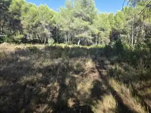 Rustikales Grundstück zum Verkauf in Partida Cumbres de Calicanto, imagen 6