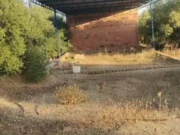 Land for sale in Alcolea del Río