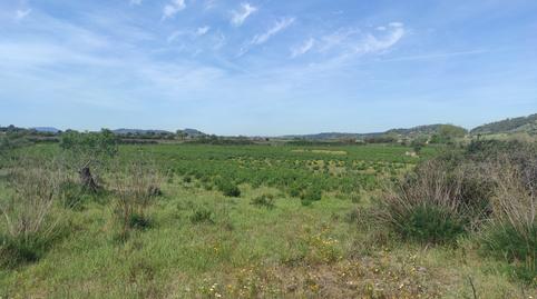 Photo 5 of Country house for sale in N/a, -1, Sineu, Illes Balears