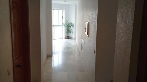 Foto 4 de Piso en venta en Calle Doctor Marañón, 38, Ejido Centro, El Ejido