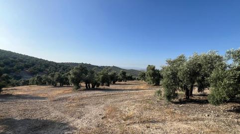 Foto 3 de Finca rústica en venta en Jauja, Lucena