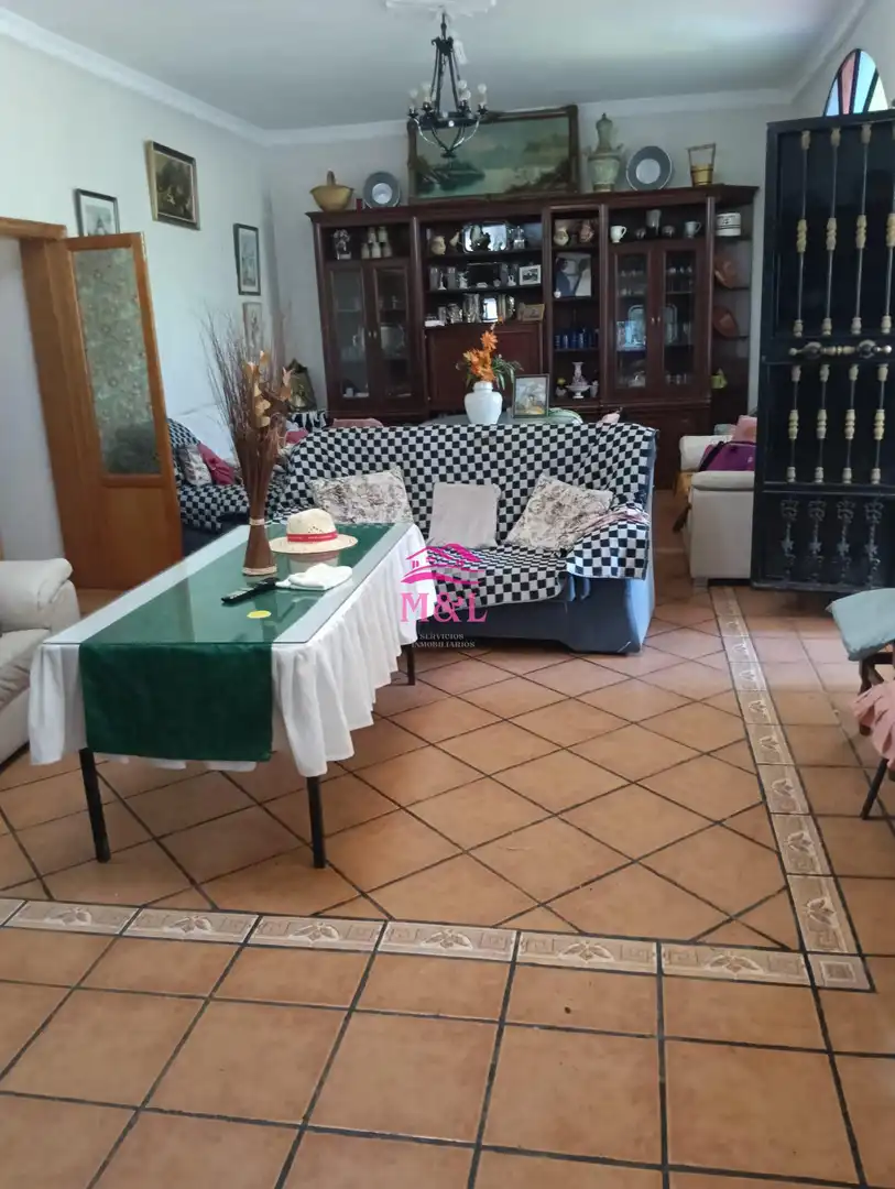 Sala d'estar de Finca rústica en venda en Mérida
