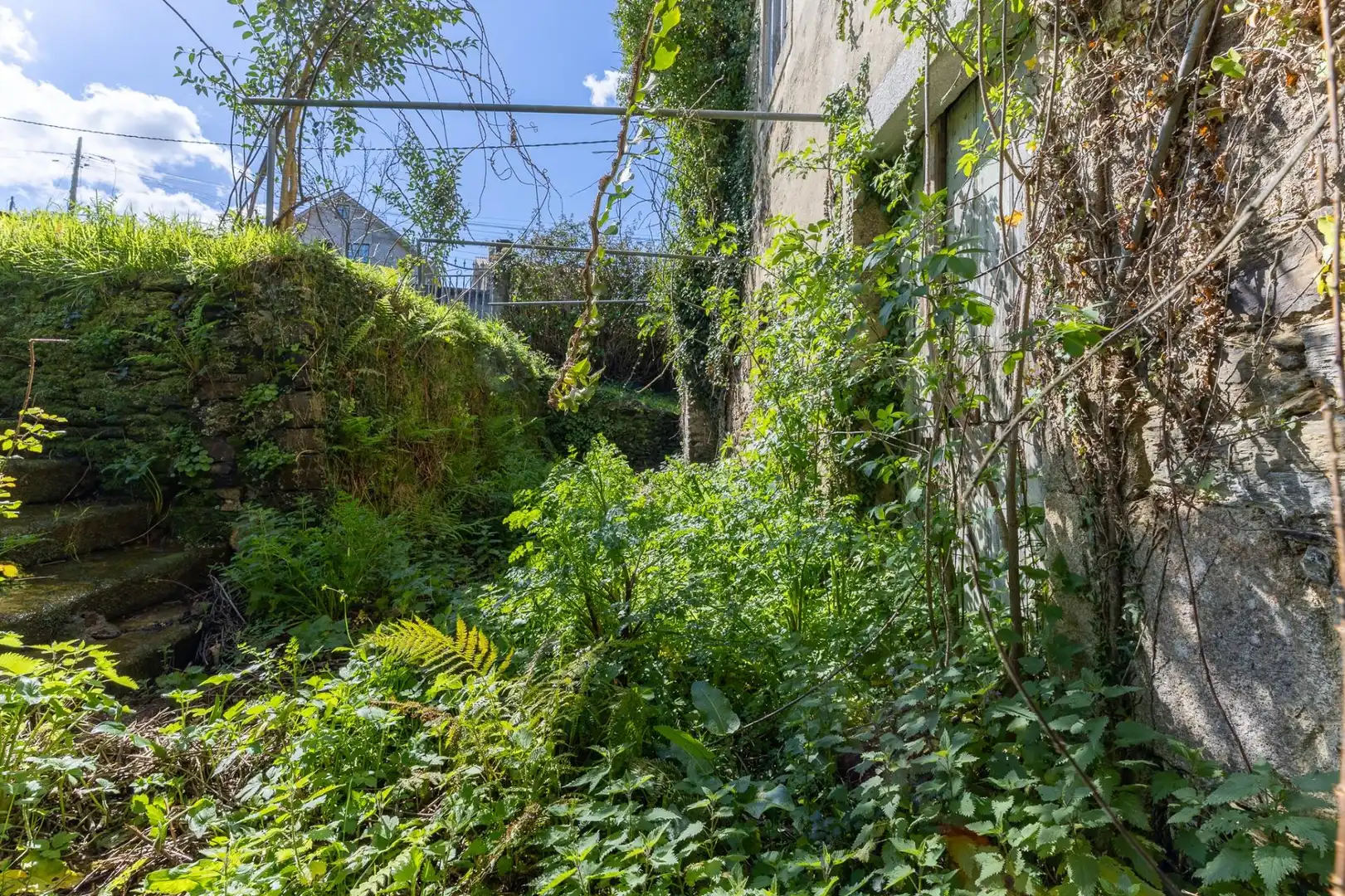 Finca rústica en venta en Pontedeume