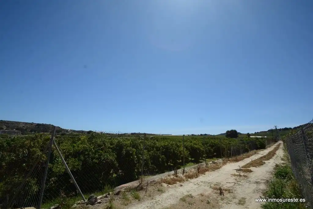 Terrenos y solares en venta en Jacarilla, imagen 5