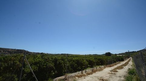 Foto 5 de Residencial en venta en Jacarilla, Alicante