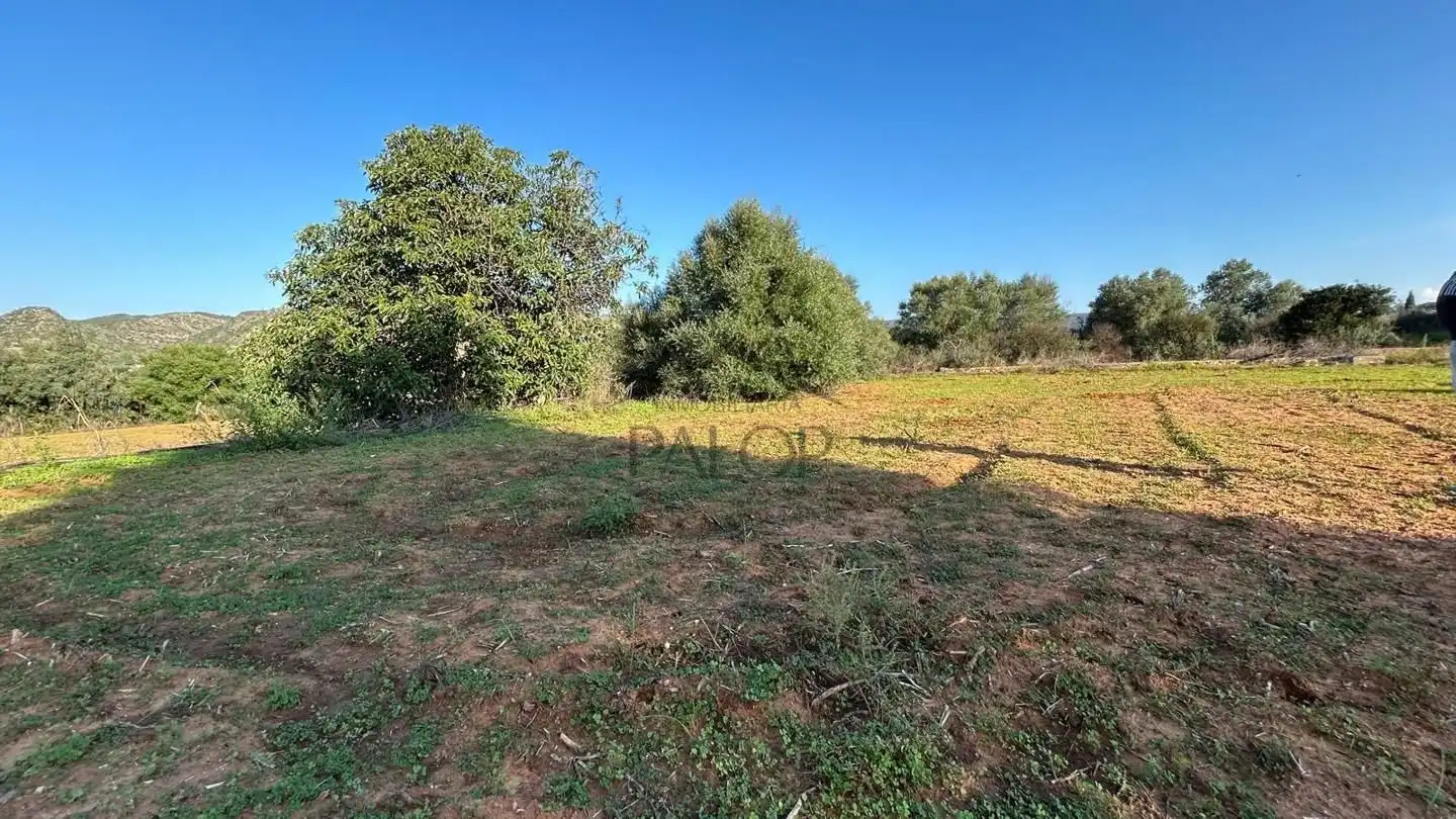 Terreno rustico in vendita a Carcaixent, imagen 5