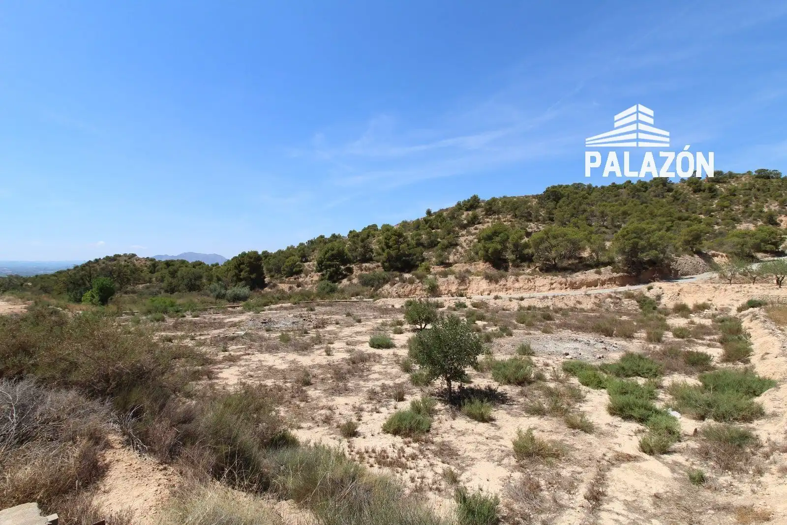Finca rústica en venta en Crevillent