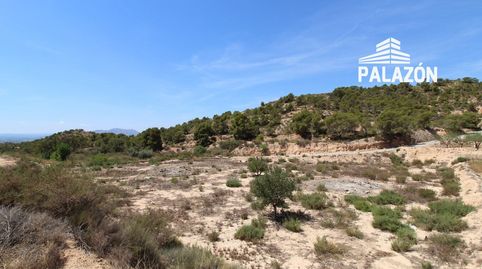 Foto 4 de Finca rústica en venta en Crevillent, Alicante