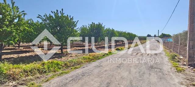 Terreno en Venta en El Cuervo de Sevilla