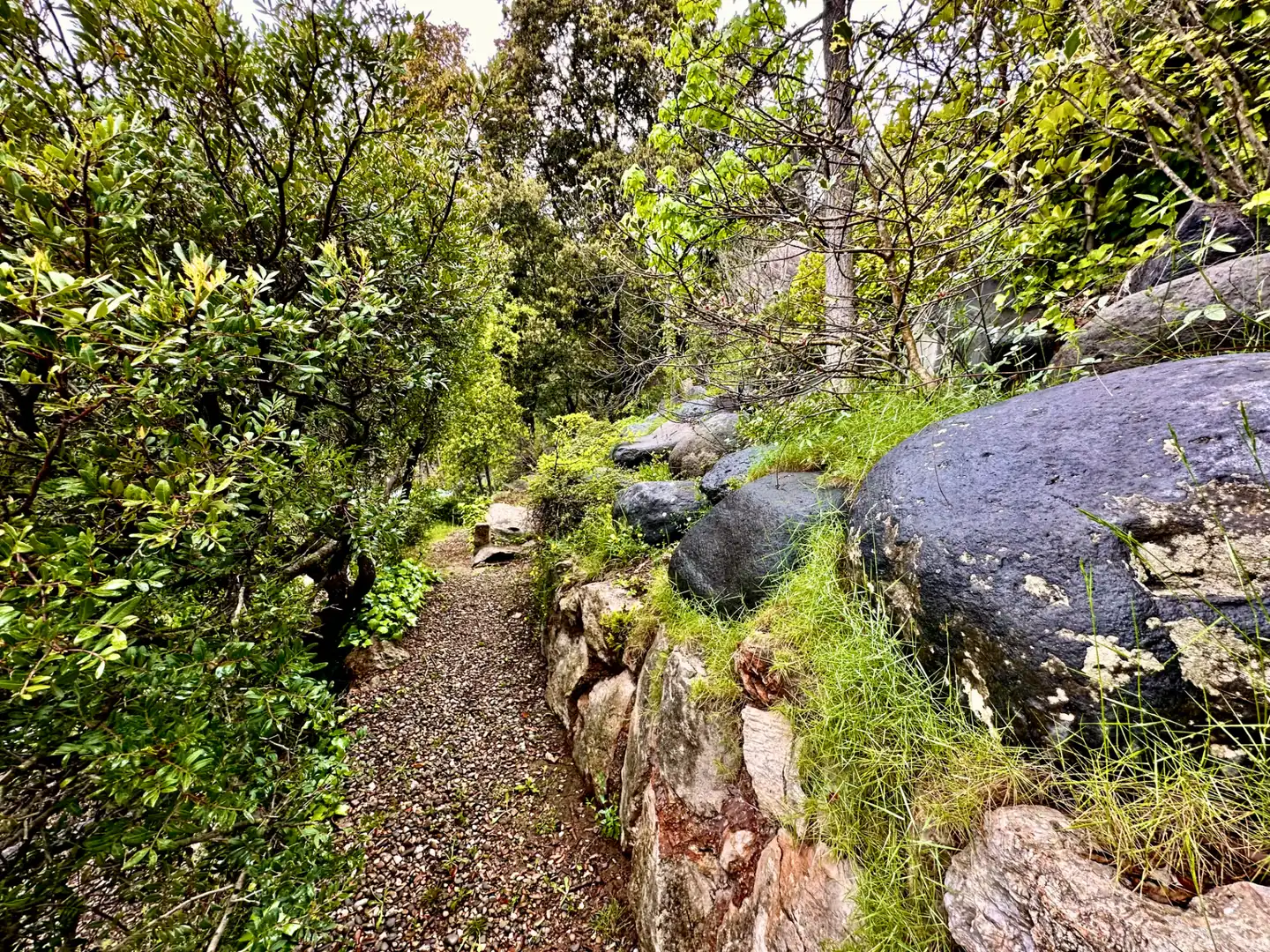Jardí de Casa o xalet en venda en Castellar del Vallès amb Calefacció, Jardí privat i Piscina