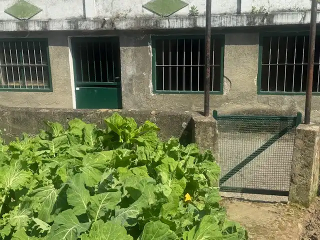 Casa a schiera con giardino in vendita a Glorieta Ferreira, imagen 68