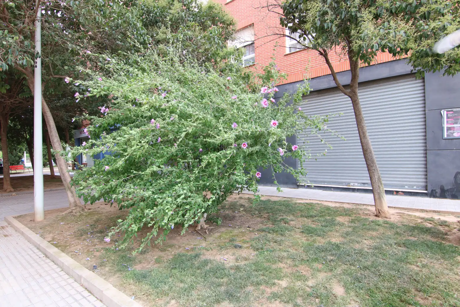 Exterior view of Commercial properties for rent in Paiporta
