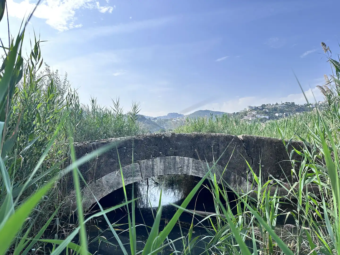 Terreno rustico in vendita a Pego, imagen 22