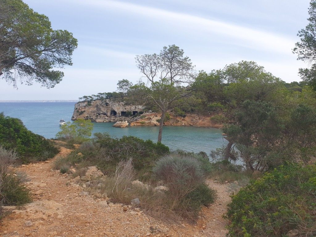 Finca rústica en venda a Cas Català - Illetes
