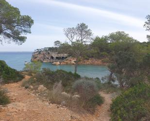 Finca rústica en venda a Cas Català - Illetes