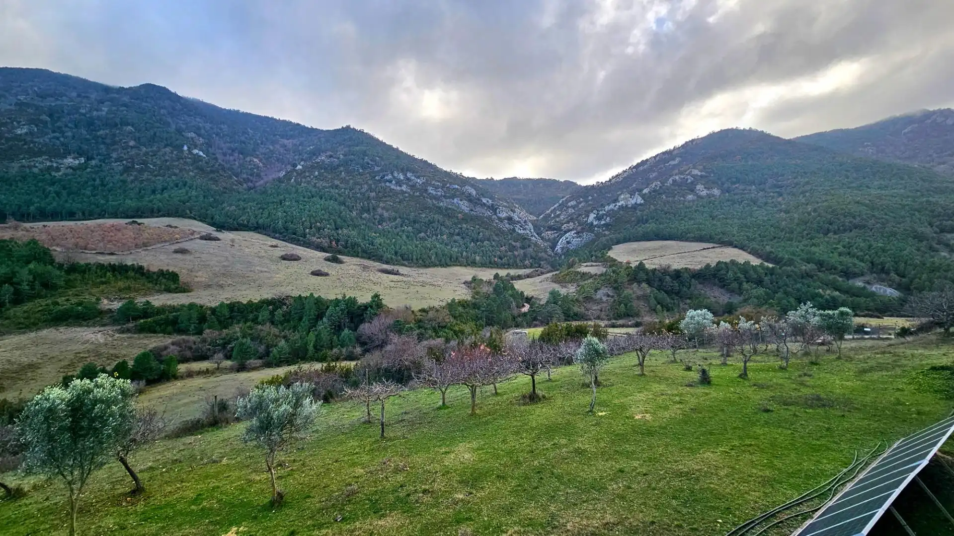 House with garden for sale in Calle PARDINA FERRERA, imagen 60