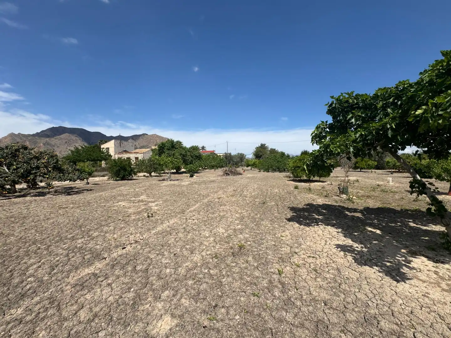 Casa en venta en Callosa de Segura, imagen 13