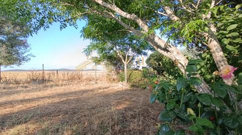 Foto 4 de Finca rústica en venda a Campus Universitario, Cáceres