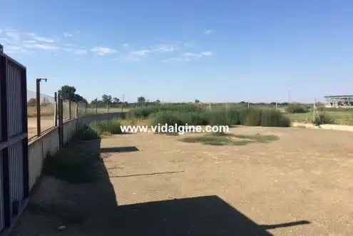 Terreny rústic en venda a Vallfogona de Balaguer, imagen 9