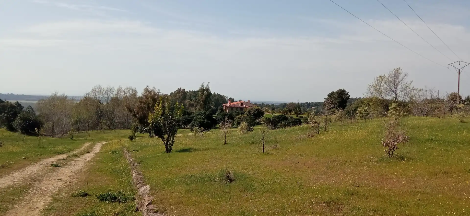Terreni e lotti in vendita a EX-203 89, imagen 62
