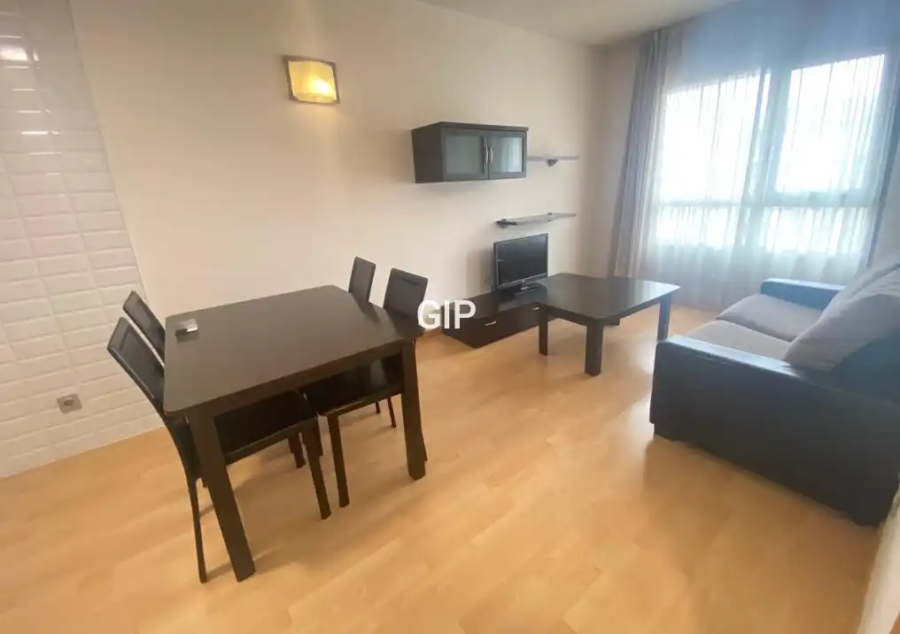 Sala d'estar de Apartament de lloguer en Madrid amb Aire condicionat, Calefacció i Parquet