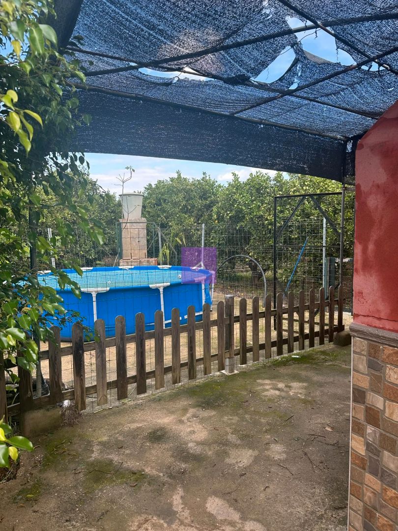 Swimming pool of Land for sale in Corbera