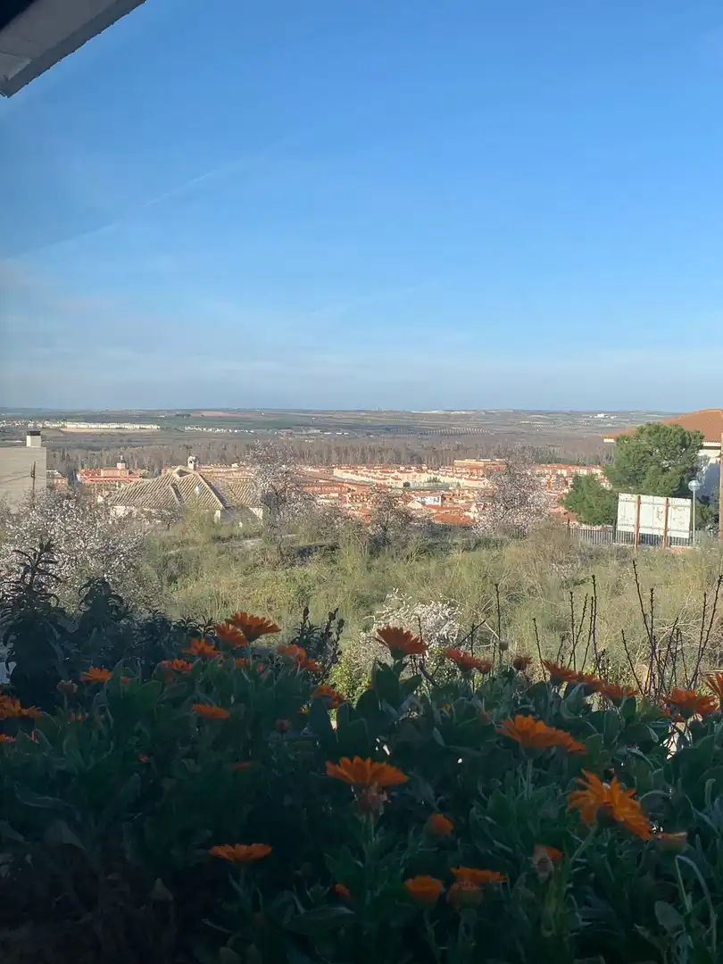 Exterior view of Houses for sale in Aranjuez