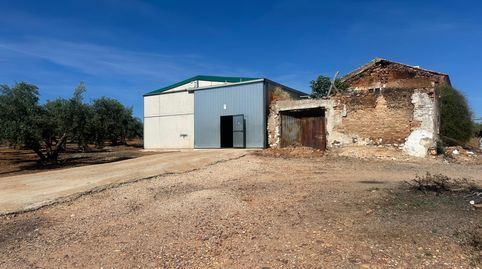 Finca de olivar en Jaén con riego, naves y cosecha, imatge 2