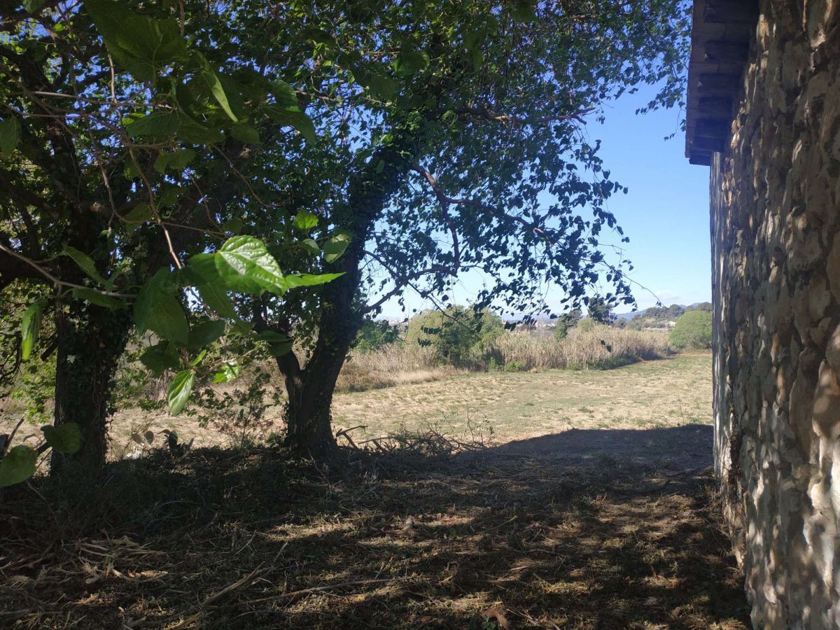 Finca rústica en venda en Vallmoll