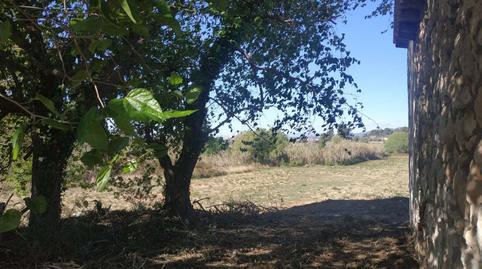 Foto 3 de Finca rústica en venta en Vallmoll, Tarragona