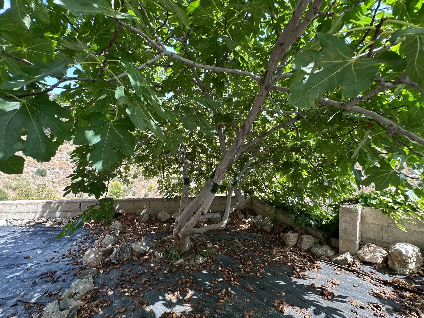 Casa amb piscina en venda a río Ebro 1, imagen 86