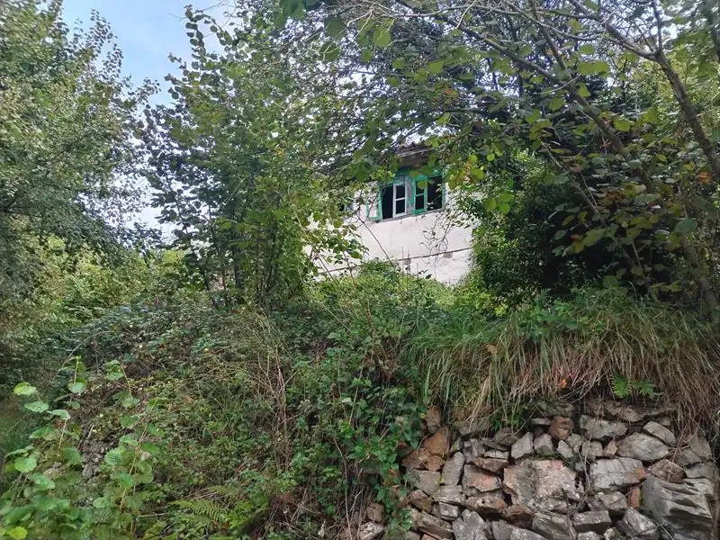 Country homes for sale in Yernes y Tameza