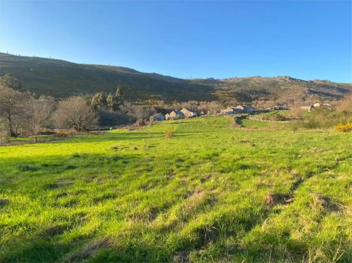 Land for sale in San Cristovo de Cea, Ourense