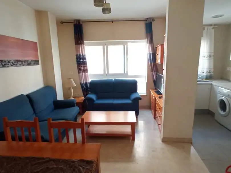 Sala d'estar de Pis de lloguer en Granada amb Terrassa