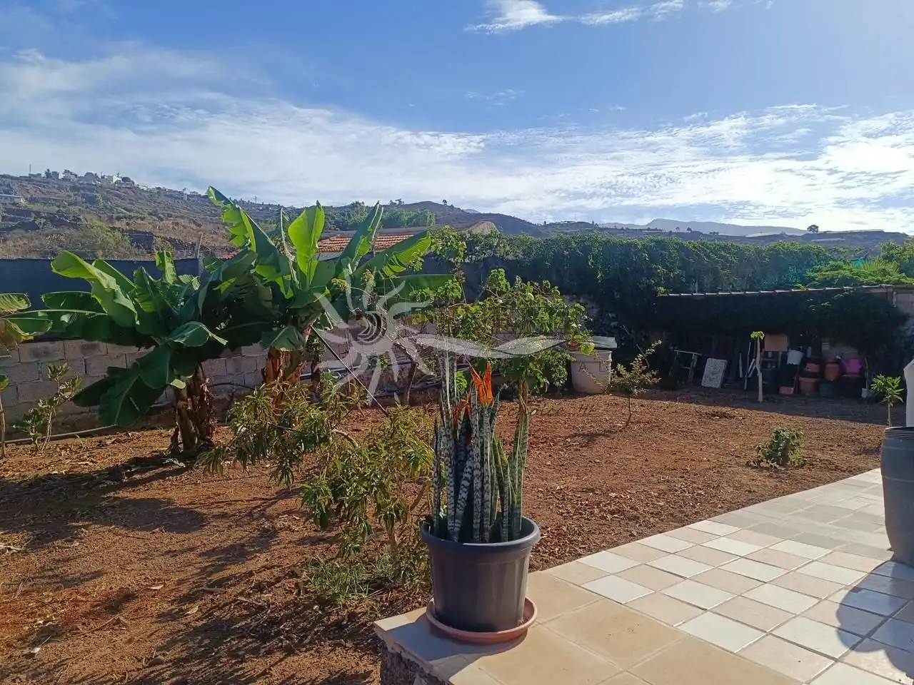 Maison avec piscine à vendre à pino, imagen 51