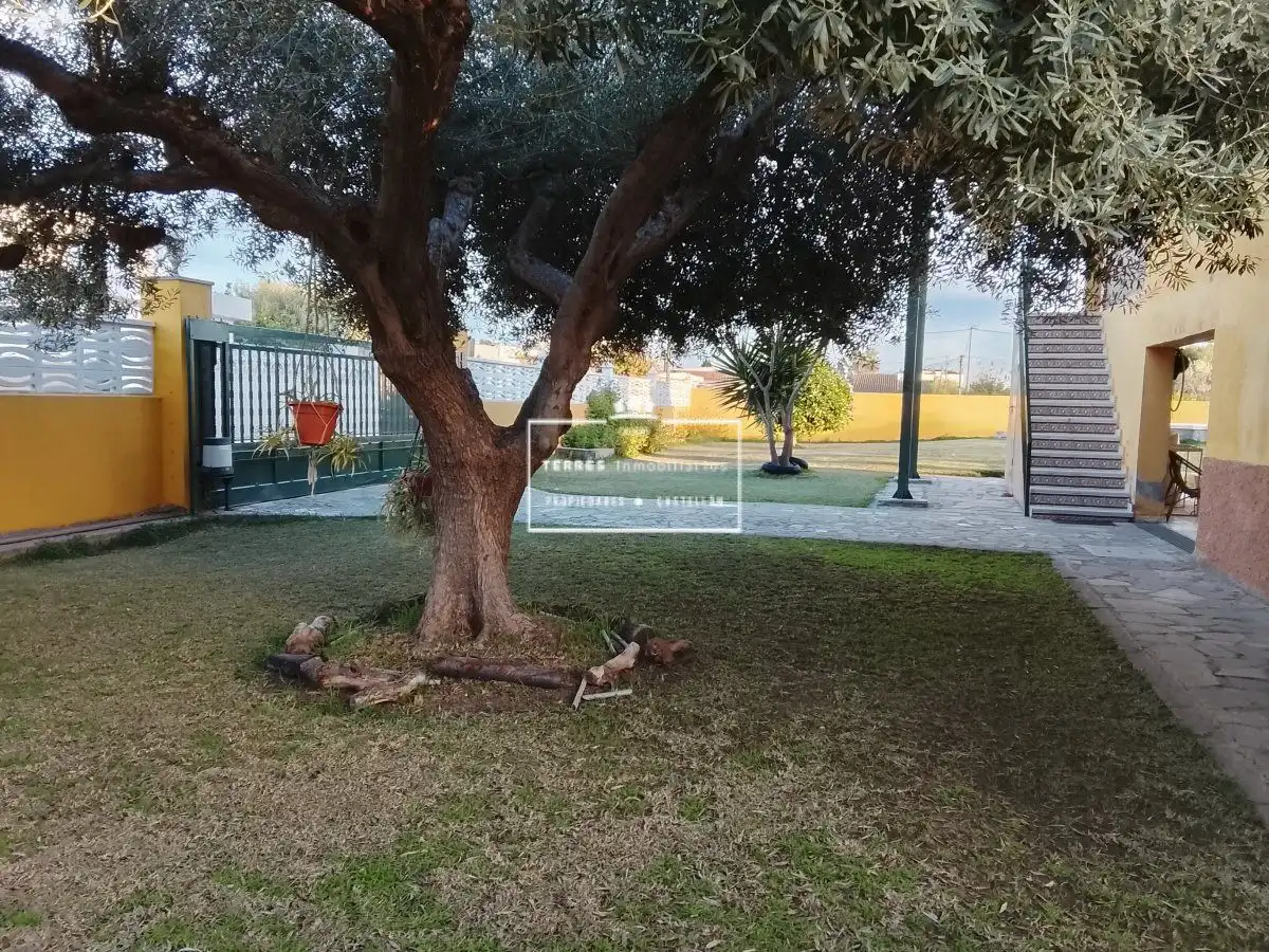 Jardí de Casa o xalet en venda en Castellón de la Plana / Castelló de la Plana amb Calefacció, Terrassa i Moblat