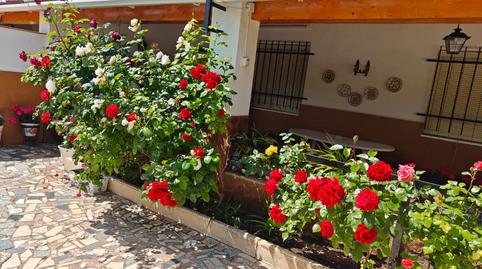 Foto 4 de Finca rústica en venta en Paseo de San Gregorio, 25, Centro, Ciudad Real