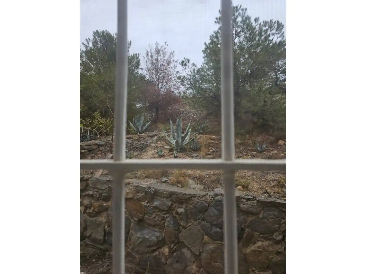 Jardí de Casa o xalet en venda en Alicante / Alacant amb Aire condicionat, Calefacció i Jardí privat