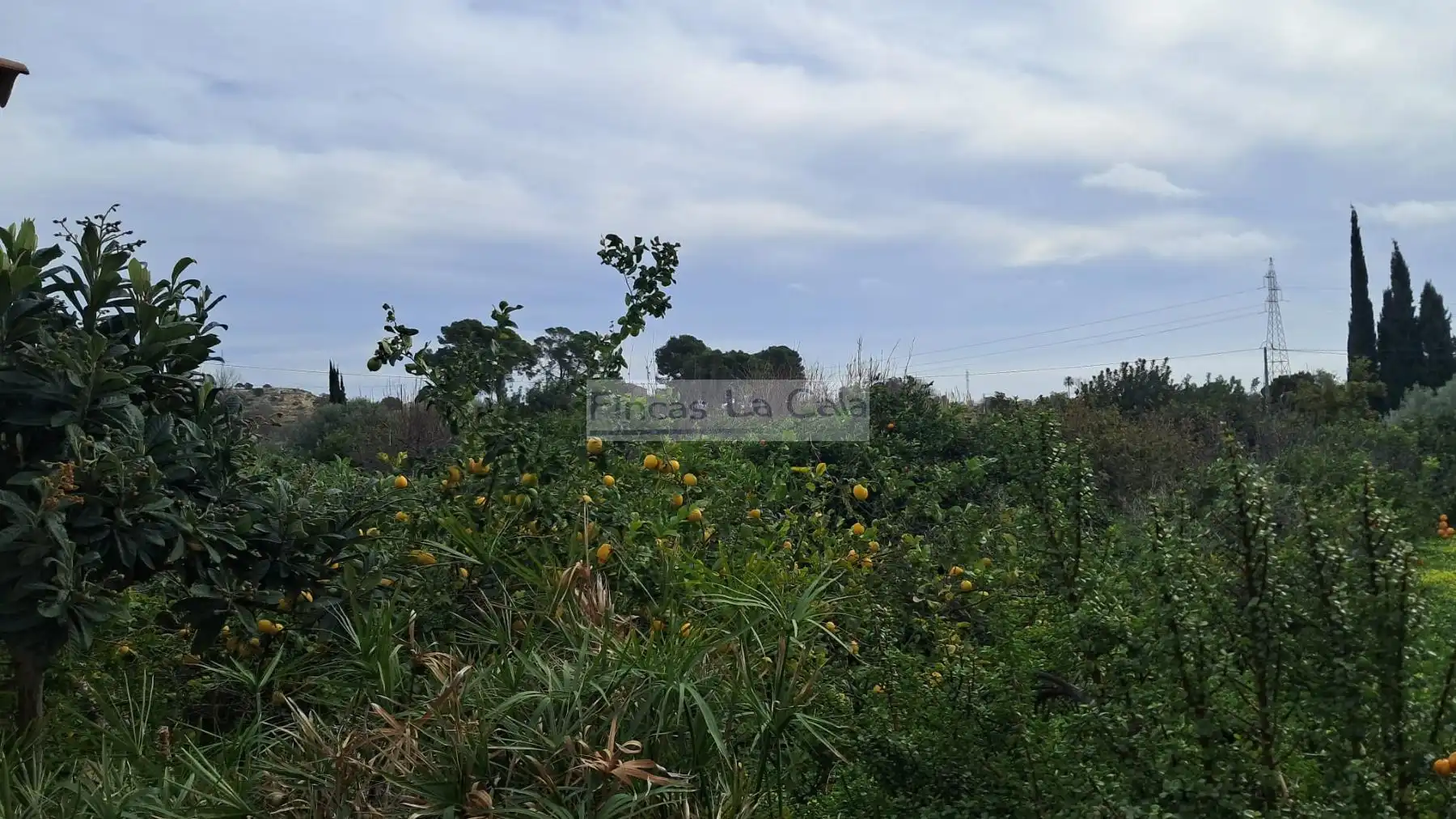 Landhaus zum Verkauf in El Secanet - Hacienda del Sol, imagen 17