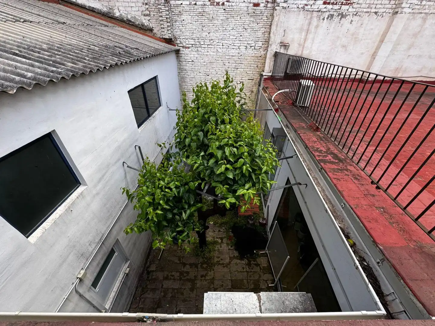Terrasse von Gebäude zur Miete in Gandia