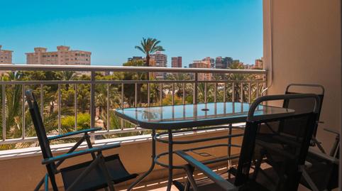 Photo 3 of Flat to rent in Calle del Torero Luis Francisco Esplá, PAU 5, Alicante