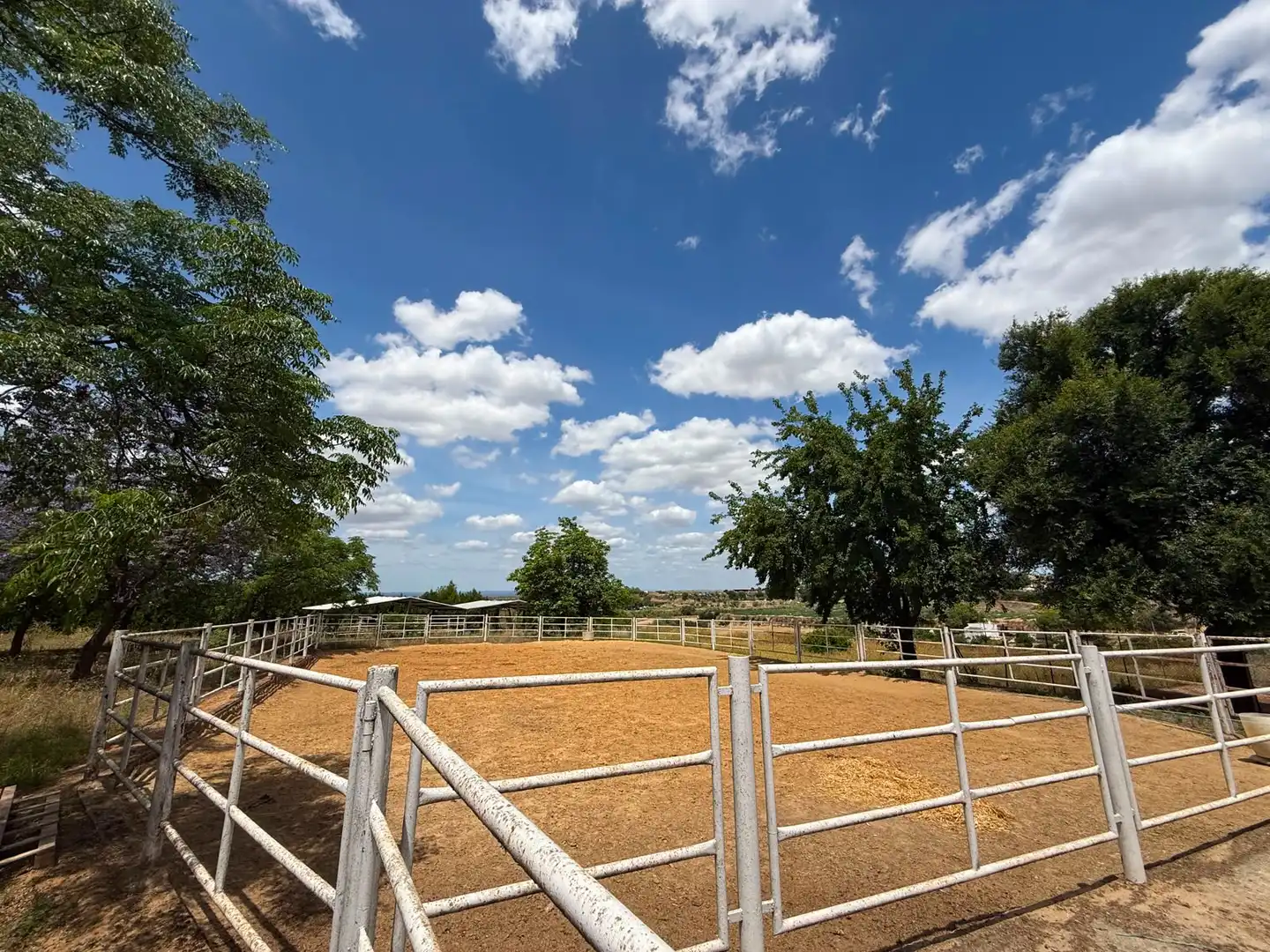 Chalet con piscina en venta en Carretera Olivares, imagen 42