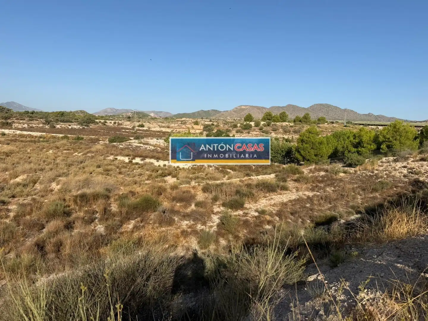 Rural land for sale in Novelda, imagen 7