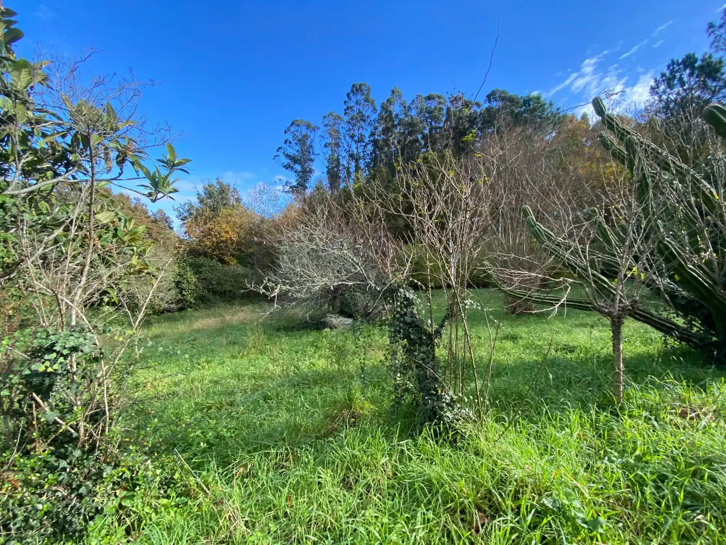 Casa o chalet en venta en Caldas de Reis