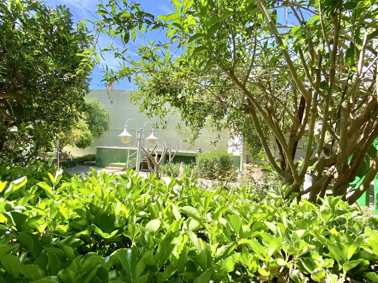 Garten von Haus oder Chalet zum Verkauf in  Palma de Mallorca mit Privatgarten, Terrasse und Abstellraum